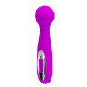 RÓŻDŻKA  STYMULATOR PRETTY LOVE - WADE 12 WIBRACJI USB