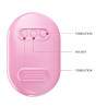 STYMULATOR PRETTY LOVE  FUN BOX 12 FUNKCJI USB