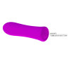 WIBRATOR PRETTY LOVE - ALFREDA PURPLE 12 WIBRACJI USB