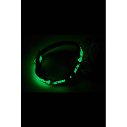 RADIANT BALL GAG GLOW IN THE DARK GREEN KNEBEL