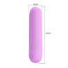 PRETTY LOVE MINI MASAŻER STEFAN USB 10 WIBRACJI