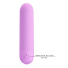 PRETTY LOVE MINI MASAŻER STEFAN USB 10 WIBRACJI