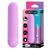 PRETTY LOVE MINI MASAŻER STEFAN USB 10 WIBRACJI