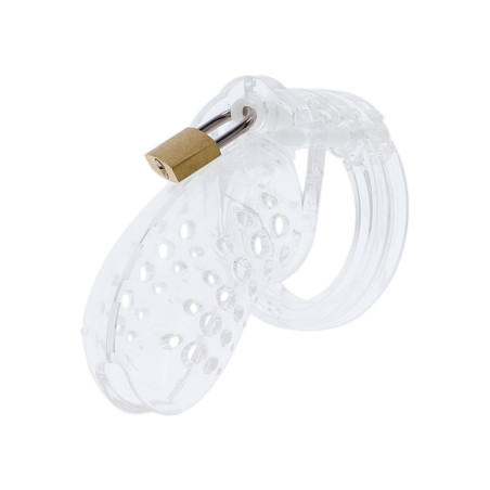 KLATKA CNOTY NA PENISA PRZEZROCZYSTA