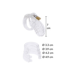 KLATKA CNOTY NA PENISA PRZEZROCZYSTA