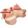 MASTURBATOR CRAZY BULL EMMA  WAGINA & ANAL  4,8 KG