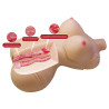 MASTURBATOR CRAZY BULL  DIANA WAGINA & ANAL  5 KG.