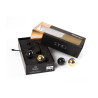 KULKI DANAE BLACK - GOLD