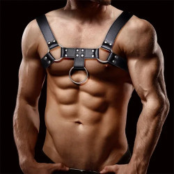 HARNESS / UPRZĄŻ WEGAŃSKA...
