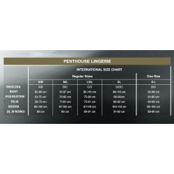 PENTHOUSE KOSZULKA ALL YOURS CZARNA L/XL
